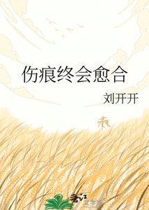 伤痕终会愈合