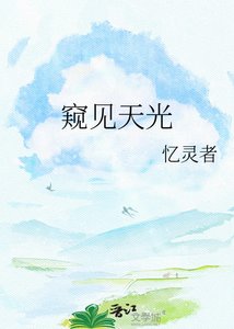 《窥见天光》