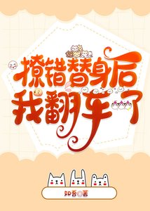 撩错替身后我翻车了